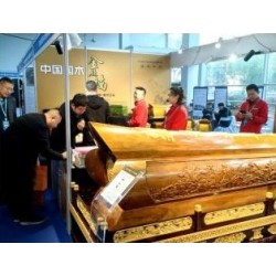 GCN-11 Phoebe Zhennan Coffin GCN-11 Phoebe Zhennan Coffin